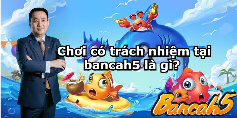 Tìm Hiểu Về Chính Sách Chơi Có Trách Nhiệm Bancah5